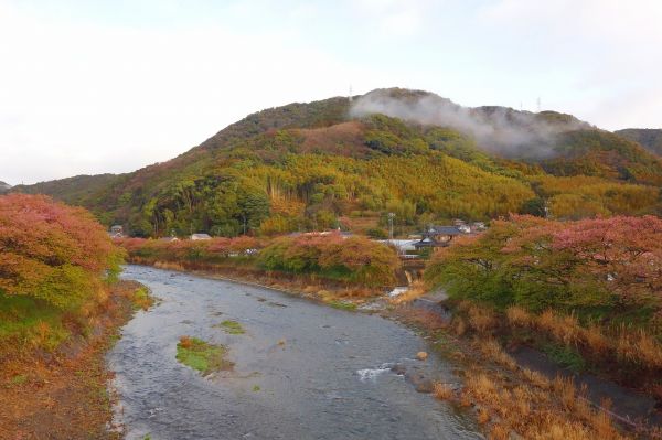 沢田地区川沿い