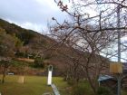 下佐ヶ野公園