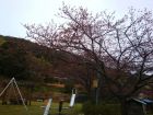 下佐ヶ野公園