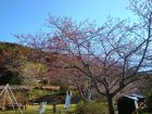 下佐ヶ野公園