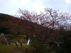 下佐ヶ野公園