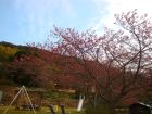 下佐ヶ野公園