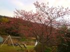 下佐ヶ野公園