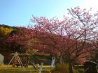 下佐ヶ野公園