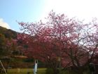 下佐ヶ野公園