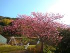 下佐ヶ野公園