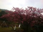 下佐ヶ野公園