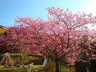 下佐ヶ野公園