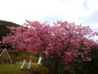 下佐ヶ野公園