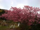 下佐ヶ野公園