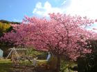 下佐ヶ野公園