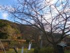 下佐ヶ野公園