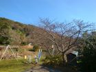 下佐ヶ野公園