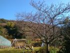 下佐ヶ野公園