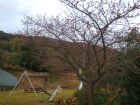 下佐ヶ野公園