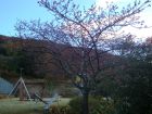 下佐ヶ野公園