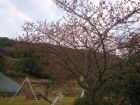 下佐ヶ野公園