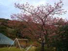 下佐ヶ野公園