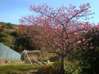 下佐ヶ野公園