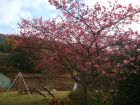 下佐ヶ野公園