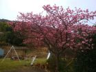 下佐ヶ野公園