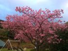 下佐ヶ野公園