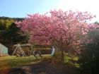 下佐ヶ野公園
