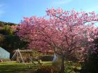 下佐ヶ野公園