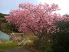 下佐ヶ野公園