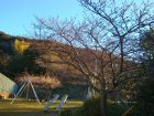 下佐ヶ野公園