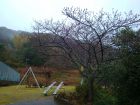 下佐ヶ野公園