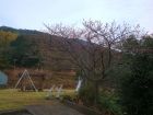 下佐ヶ野公園