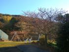 下佐ヶ野公園