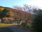 下佐ヶ野公園