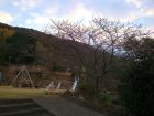 下佐ヶ野公園