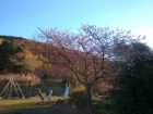 下佐ヶ野公園