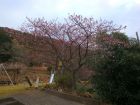 下佐ヶ野公園