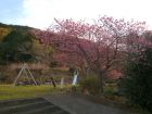 下佐ヶ野公園