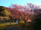 下佐ヶ野公園