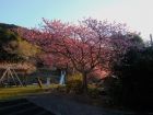 下佐ヶ野公園