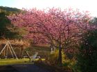 下佐ヶ野公園