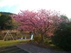 下佐ヶ野公園