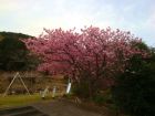 下佐ヶ野公園