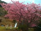 下佐ヶ野公園