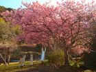 下佐ヶ野公園