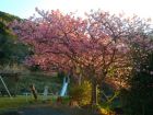 下佐ヶ野公園