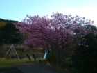 下佐ヶ野公園