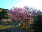 下佐ヶ野公園