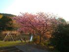 下佐ヶ野公園