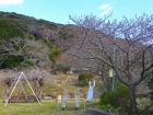 下佐ヶ野公園